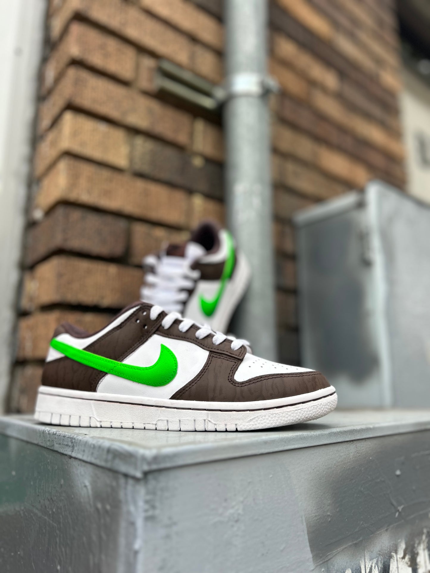 Earth Day ‘24 Dunks